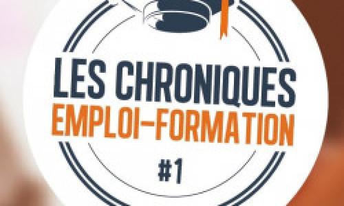 Les Chroniques Emploi-Formation : Chapitre I