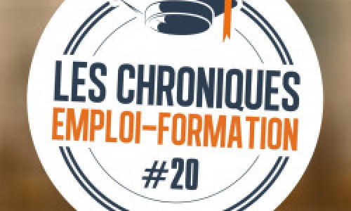 Chronique Emploi - Formation : Chapitre XX